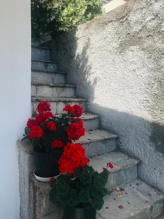 Villa Teresa Casarza Ligure Exterior photo