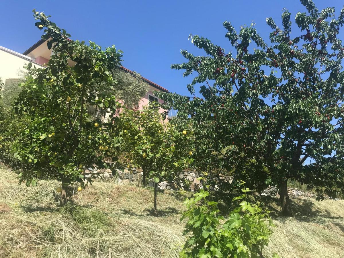 Villa Teresa Casarza Ligure Exterior photo